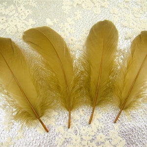 10 PCS Gold Dyed Natural Real Stripped Goose Feathers for Millinery Hat Making Materials Headpiece crafts Plume Sewing DIY 5-6&quot; Length