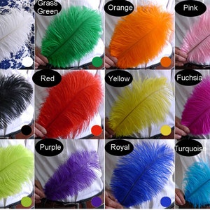 Peut inclure: Une collection de plumes d'autruche de différentes couleurs : blanc, vert herbe, orange, rose, noir, rouge, jaune, fuchsia, vert citron, violet, bleu roi et turquoise. Chaque plume est présentée sur une chemise blanche.