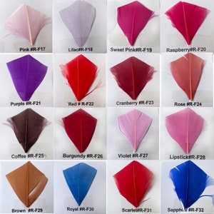 K&ouml;nnte beinhalten: Eine Sammlung von 16 Federn in verschiedenen Farben, darunter Rosa, Lila, Rot, Braun und Blau. Jede Feder ist mit einem Farbnamen und einem Code gekennzeichnet.