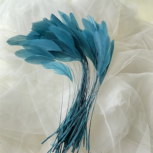 Puede incluir: Un montón de plumas azul turquesa dispuestas en forma de abanico sobre un fondo de tul blanco.