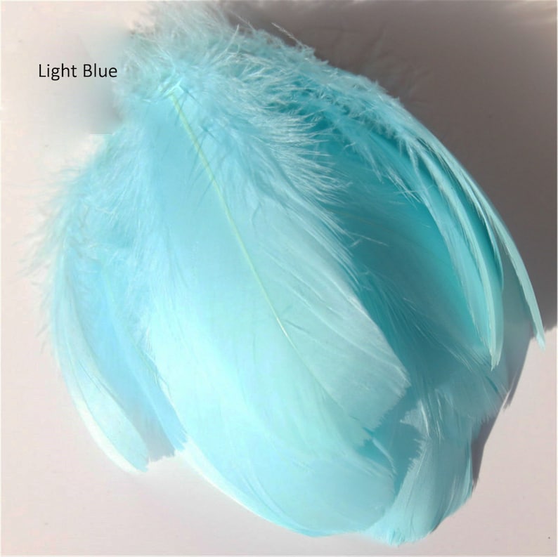 May include: A cluster of light blue feathers, with a soft, fluffy texture. The feathers are a solid, pale blue color, with a few strands of a lighter shade. The text "Light Blue" is visible in the upper left corner.