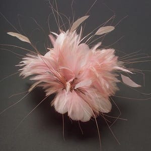 May include: A pink feather boa with long, wispy feathers. The boa is arranged in a circular shape, creating a fluffy, cloud-like appearance.