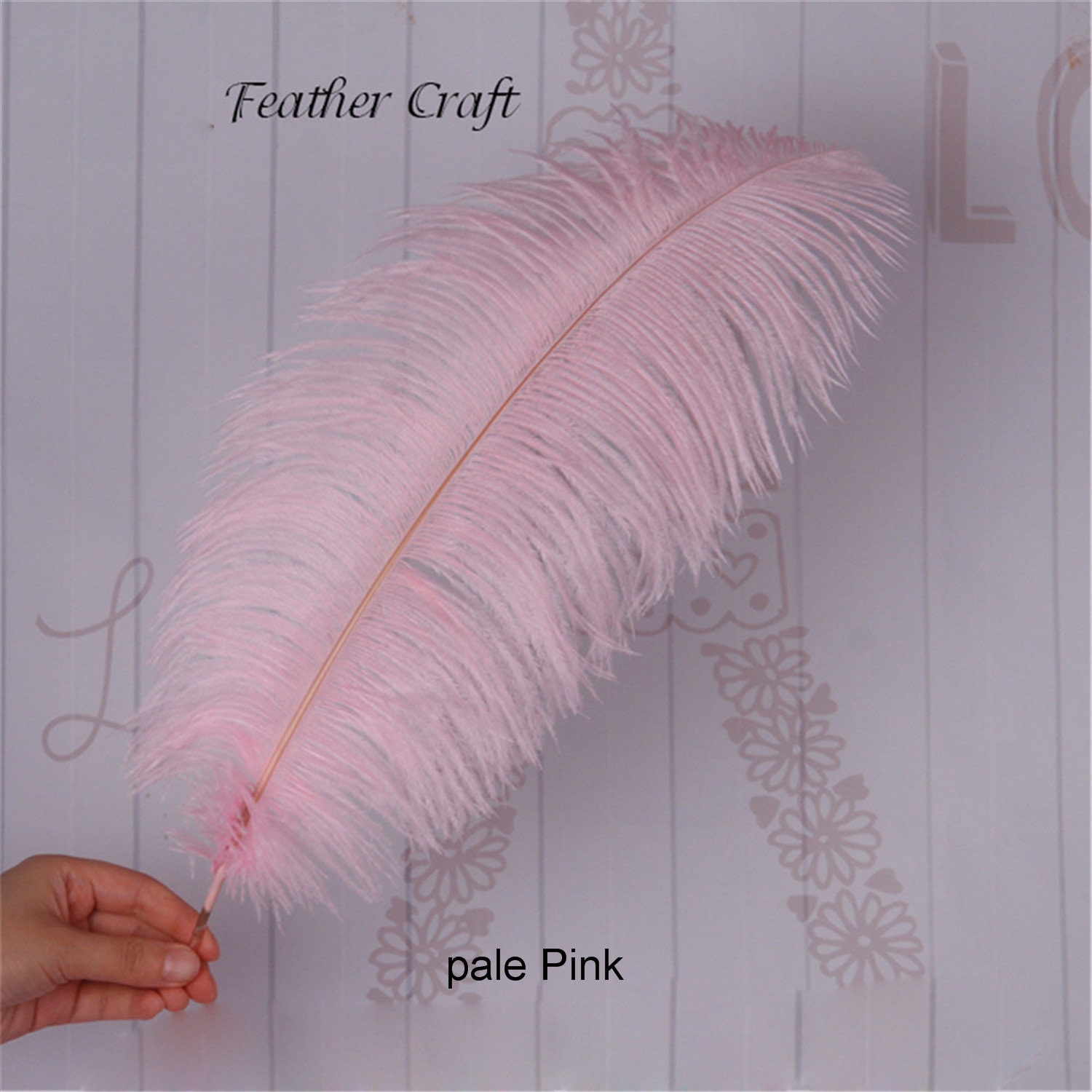 Ostrich Feathers 13-16 CANDY PINK for Feather Centerpieces, Party Decor,  Millinery, Carnival, Fashion & Costume ZUCKER® 