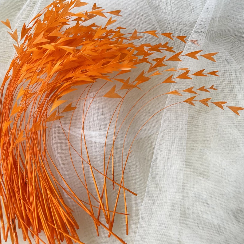 May include: A bunch of orange feathers with pointed tips arranged in a fan shape on a white background.