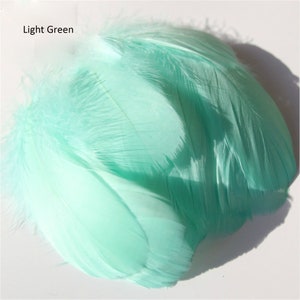 May include: Close-up of light green feathers. The feathers are a soft, pastel green color. The text "Light Green" is in the upper left corner. The feathers are likely for crafting or decorative purposes.