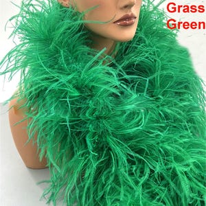 Puede incluir: Una boa larga y esponjosa de plumas de avestruz verde. La boa está hecha de plumas suaves y naturales y es perfecta para agregar un toque de glamour a cualquier atuendo.