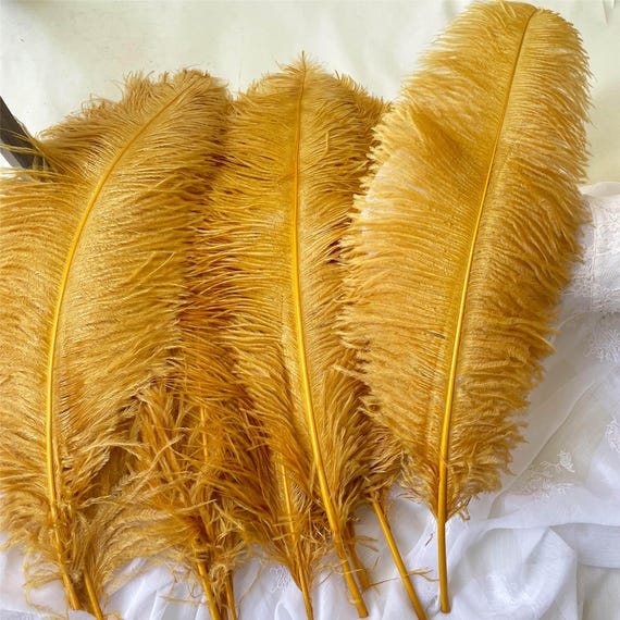 Bande De Plumes D'Autruche 3M Avec Ruban Satin - Marron Clair Pour Décoration, Costumes Et Loisirs Créatifs