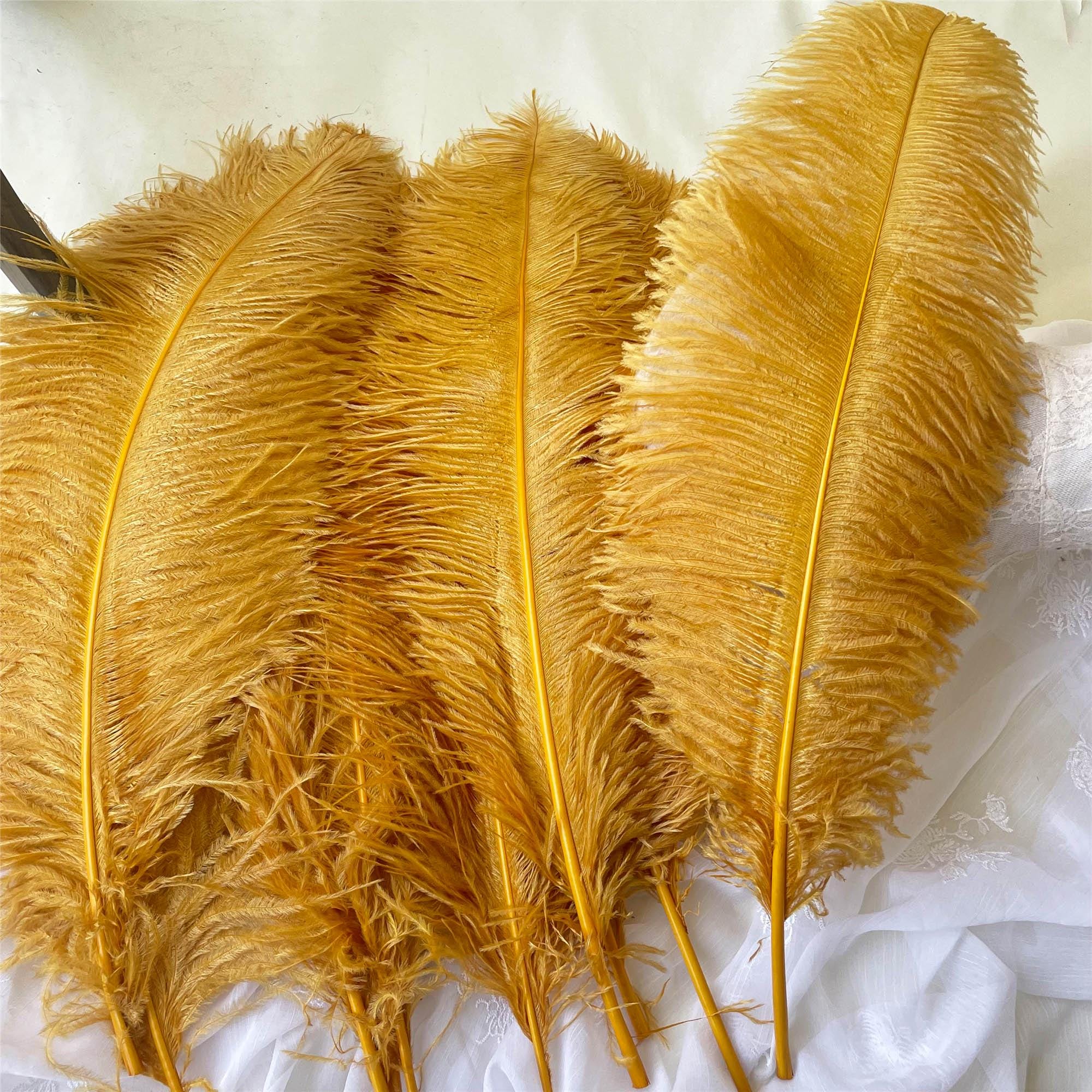 30 Grandes Plumes D'Autruche Naturelles Jaunes 20-25 Cm - Idéal Pour Décoration Mariage, Artisanat & Vase