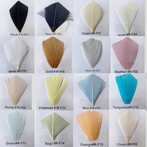 May include: A collection of 16 feather samples in various colors, including black, navy, cream, ivory, white, gold, silver, heather, honey, primrose, blue, turquoise, ocean, sage, orange, and clover. Each feather is displayed on a white background.