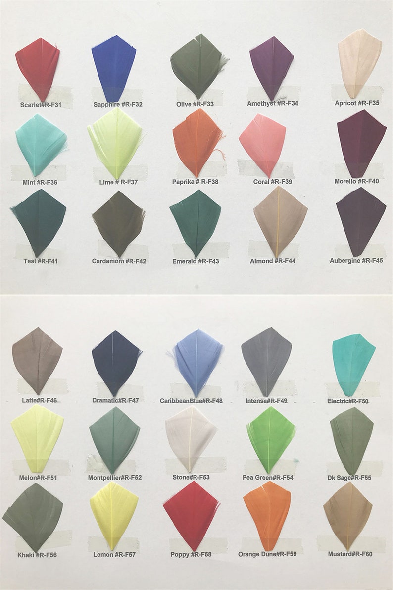 May include: A chart of 60 different colored feathers, each labeled with a color name and a code. The feathers are arranged in rows of 10, with each row representing a different color family.