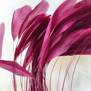 80 couleurs de plumes naturelles dénudées pour la chapellerie et les bibis