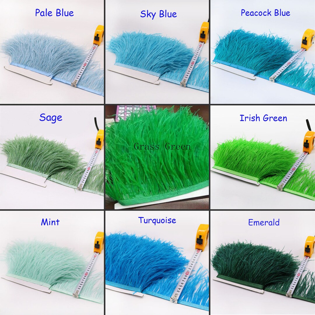 Hahnenschwanz Federn Besatz 2 Meter Naturbraun Basteln DIY 2 Metres Natural Emu Feather Plume Fringe Ribbon Trim Tassel DIY Craft Decor Hat | Australia Hahnengold Federfransenband