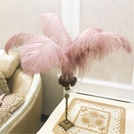 10 pezzi di piume di struzzo naturale per accessori artigianali centro tavolo da matrimonio fai da te decorazione della fase della festa di natale