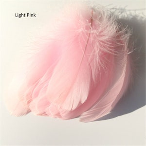 May include: A cluster of light pink feathers, with a soft, fluffy texture. The feathers are a delicate shade of pink, with a subtle gradient of color. The text "Light Pink" is visible in the upper left corner.