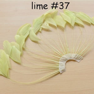 Lime Stripped Coque Feather Fan Dyed Feathers Fringe Trimmings for Fascinators & Hat Making Millinery Supplies Party Decor 1 Piece