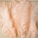 120pcs Colorful Goose Feathers for DIY Crafts, Jewelry Making, Wedding
