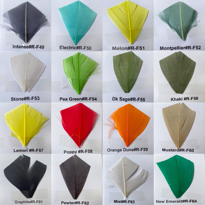 80 couleurs de plumes naturelles dénudées pour la chapellerie et les bibis, fabrication de chapeaux, plumes de coq teintes 5-7 25/10/50/75/100 pièces image 9