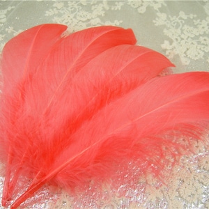 10 PCS Coral Natural Real Stripped Goose Feathers for Millinery Hat Making Materials Headpiece crafts Plume Sewing DIY 5-6&quot; Length