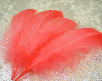 10 pezzi Corallo naturale reale spogliato piume d'oca per cappello da modisteria che produce materiali Headpiece artigianato Pennacchio Cucitura fai da te 5-6 "Lunghezza