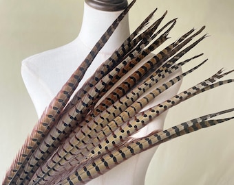 Natural Ringneck Pheasant Tail Feathers Millinery Fiscinator DIY Craft Stage Performance Hat Decor