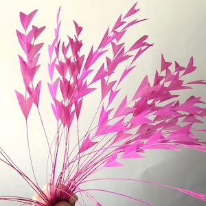 Könnte beinhalten: Ein Bündel leuchtend rosa Federn mit einer zarten, pfeilartigen Form. Die Federn sind zusammengefasst und bilden eine optisch ansprechende Anordnung. Der leuchtende Rosaton sorgt für einen Farbtupfer und eignet sich für verschiedene Bastelprojekte oder Dekorationszwecke.