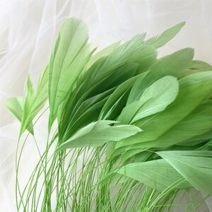 80 Colors Natural Stripped Coque Feathers for Millinery & Fascinators ...