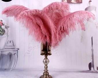 10 Plumas De Avestruz Naturales – 6 A 16 Pulgadas, Artesanía, Bodas, Disfraces