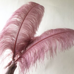 Large Ostrich Feathers Plume DIY Wedding Party Table Christmas Halloween Carnival Decorations Centerpiece Millinery 24-26" / 60-65cm length