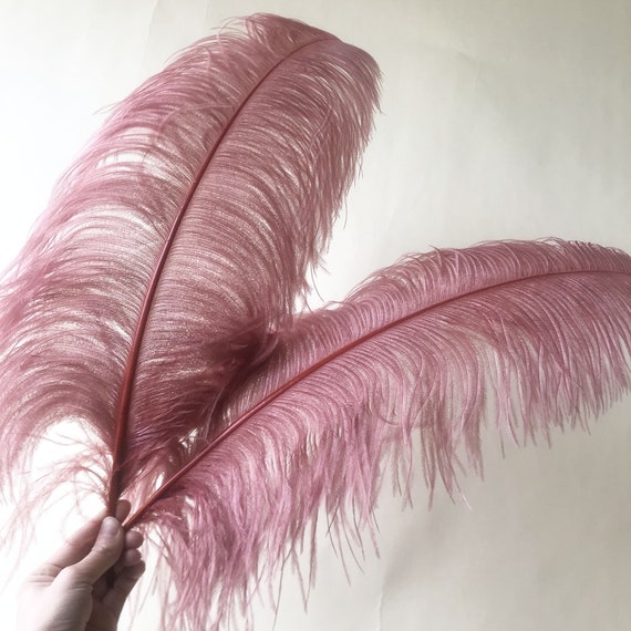 10Pcs White Ostrich Feathers Centerpieces for Wedding Table Large Natural  Feather Carnival Accessories Pluma for Vase Decoration