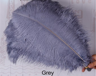 Selene Piume di struzzo tinte grandi piume fai da te per feste di matrimonio, decorazione per Natale, carnevale, centrotavola per modisteria, lunghezza 40-45 cm (erica