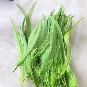 May include: A bunch of green feathers, some long and some short, with a soft, fluffy texture.