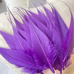 May include: A close-up of a collection of vivid purple feathers. Each feather has a long, pointed shape and a soft, textured surface. The feathers are arranged in a layered pattern, highlighting their rich colour and delicate details. Suitable for crafts.