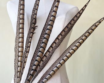 Puede incluir: Un manojo de seis plumas de faisán marrones y blancas con un diseño estampado.