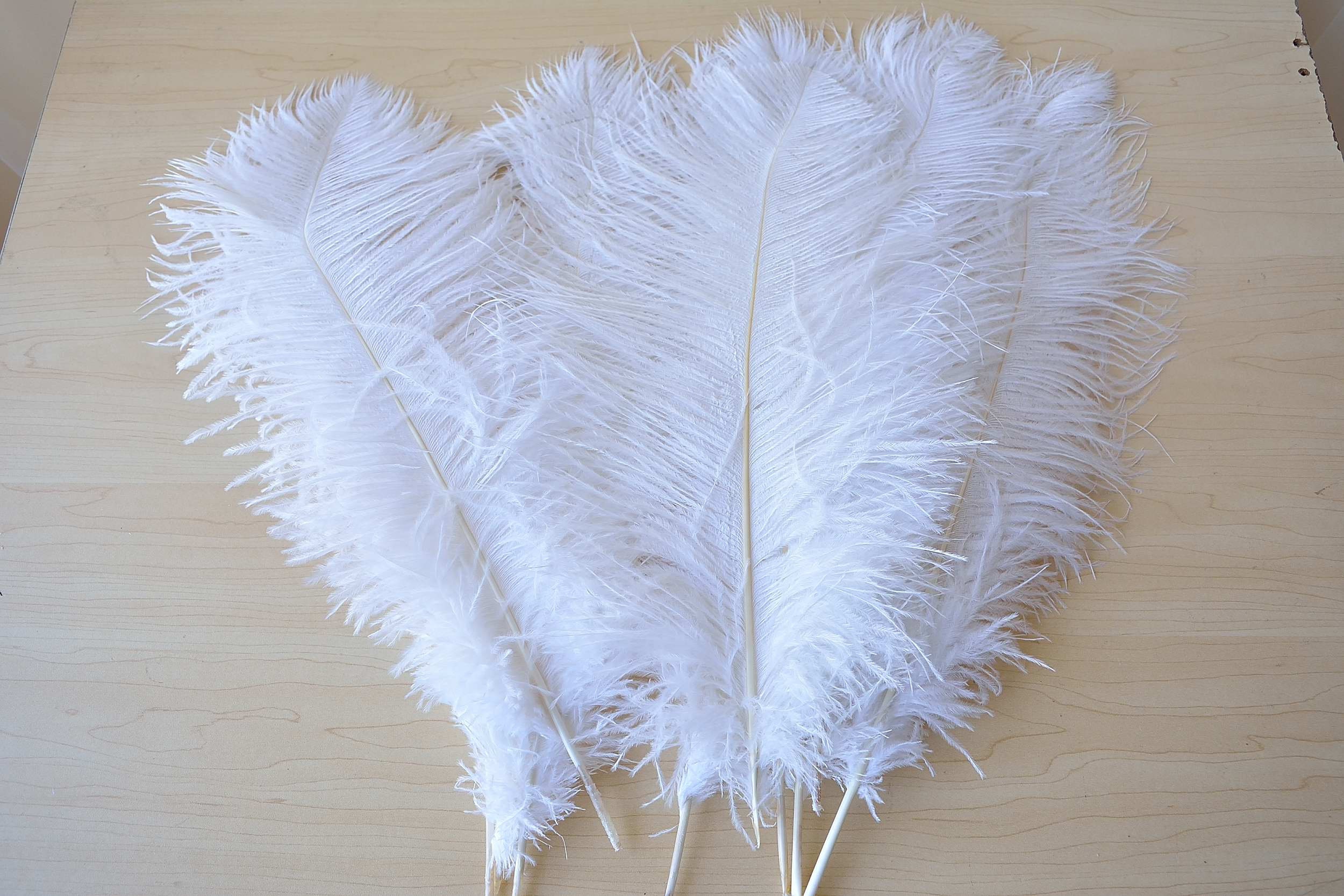 10 PCS Champagne Ostrich Feathers Plume DIY Wedding Party - Etsy UK
