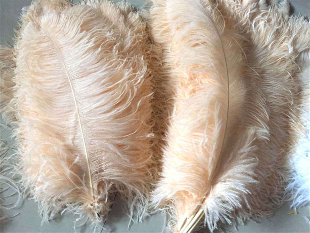 50 Pcs 25-30cm/10-12 Inch 30 Colorful Ostrich Feathers For Diy Supplies  Carnival