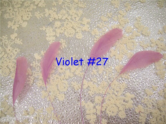 Natürliche Coquefedern Gestreift, Gefärbt – Länge 12,7–17,8 Cm, 10 Stück, Farbe #77 Magenta