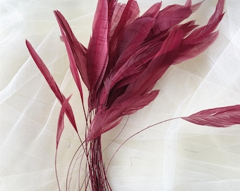 Burgundy Natural Stripped Coque Feathers for Millinery Plume Craft Hat Making Headpiece Dyed Rooster Loose Feather 5-7" 10/25/50/75/100 PCS
