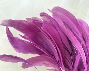 Freesia Stripped Coque Feathers for DIY Millinery Plume Craft Hat Making Headpiece 5-7"