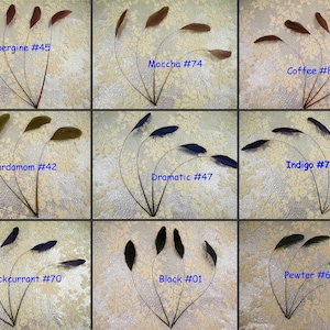 May include: Nine different colors of feathers, each with a unique name and number. The feathers are arranged in a fan shape, with the tips of the feathers pointing upwards. The feathers are all the same size and shape, and they are all made of the same material. The colors of the feathers are: aubergine, mocha, coffee, cardamom, indigo, dramatic, blackcurrant, black, and pewter.