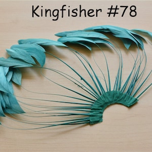 Kingfisher Stripped Coque Feather Fan Dyed Feathers Fringe Trimmings for Fascinators & Hat Making Millinery Supplies Party Decor 1 Piece