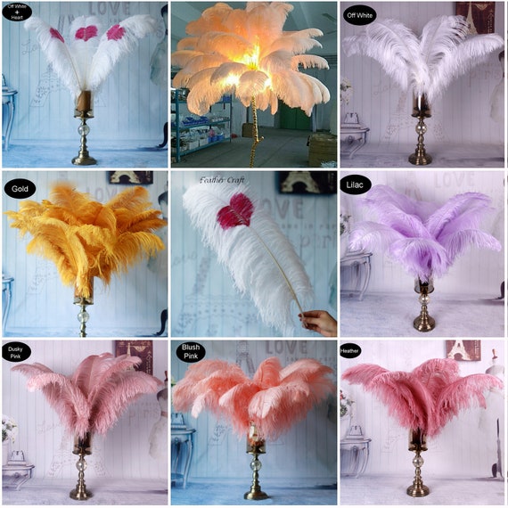HAPPY FEATHER 16-18 inch White Ostrich Feathers Craft for Wedding Party  Centerpieces Home Decoration DIY Craft Pack of 10