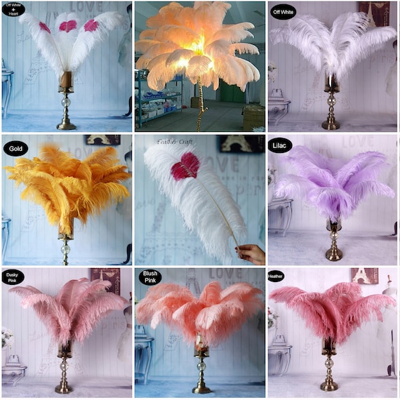 10pcs Large Light Pink Ostrich Feathers 16-18 inch Fluffy Feather for  Crafts Home Party Decoration Wedding Centerpieces Clothes Vase Decor