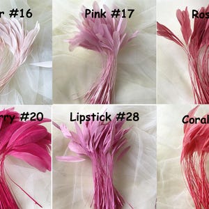 Peut inclure: Plusieurs bouquets de plumes teintes en différentes nuances de rose et de rouge, dont Clover #16, Pink #17, Rose #24, Raspberry #20, Lipstick #28 et Coral #39. Chaque bouquet est présenté sur un fond blanc.
