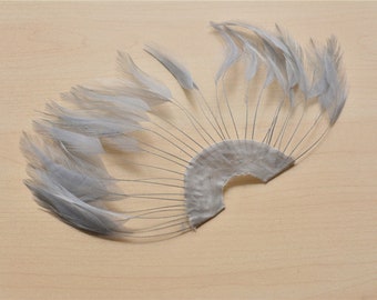 Natürliche Coquefedern Gestreift – 10 Stück, 12,7–17,8 Cm, Gefärbt, Für Hutmacher, Kostüme, Bastelprojekte