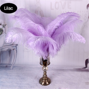 Natural Large Ostrich Feathers Plume DIY Wedding Party Table Christmas Carnival Decorations Centerpiece Millinery 18-20" / 45-50 cm length
