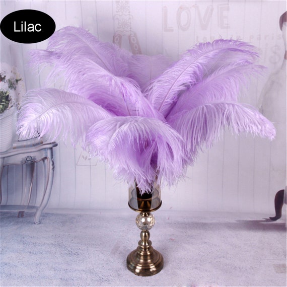  30 Pcs 18-20 Inch Large Natural Ostrich Feathers Bulk for  Centerpieces for Wedding Party Centerpieces Home Decoration Flower  Arrangement (White) : Arts, Crafts & Sewing
