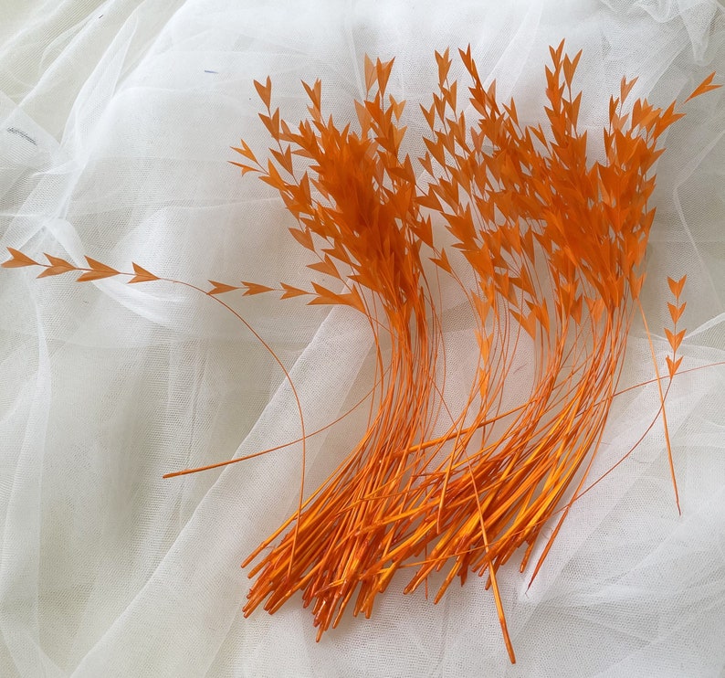 May include: A bunch of orange feathers with a pointed tip, arranged in a fan shape on a white background.