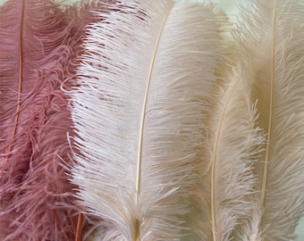 Plumas de avestruz grandes para decoración de mesas de bodas, fiestas, Navidad, Halloween, carnavales, centros de mesa, sombrerería, 60-65 cm de largo.
