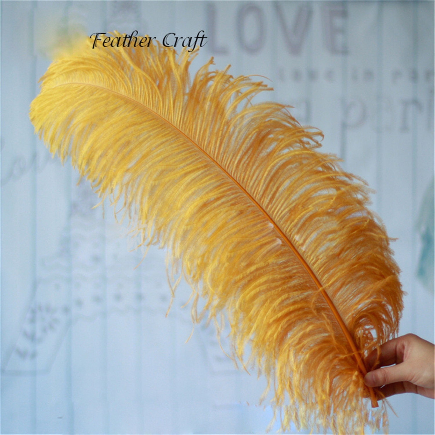 KOLIGHT®30pcs Ostrich Feather Gold 12-14 Natural Feathers Wedding,  Party,Home,Hairs Decoration