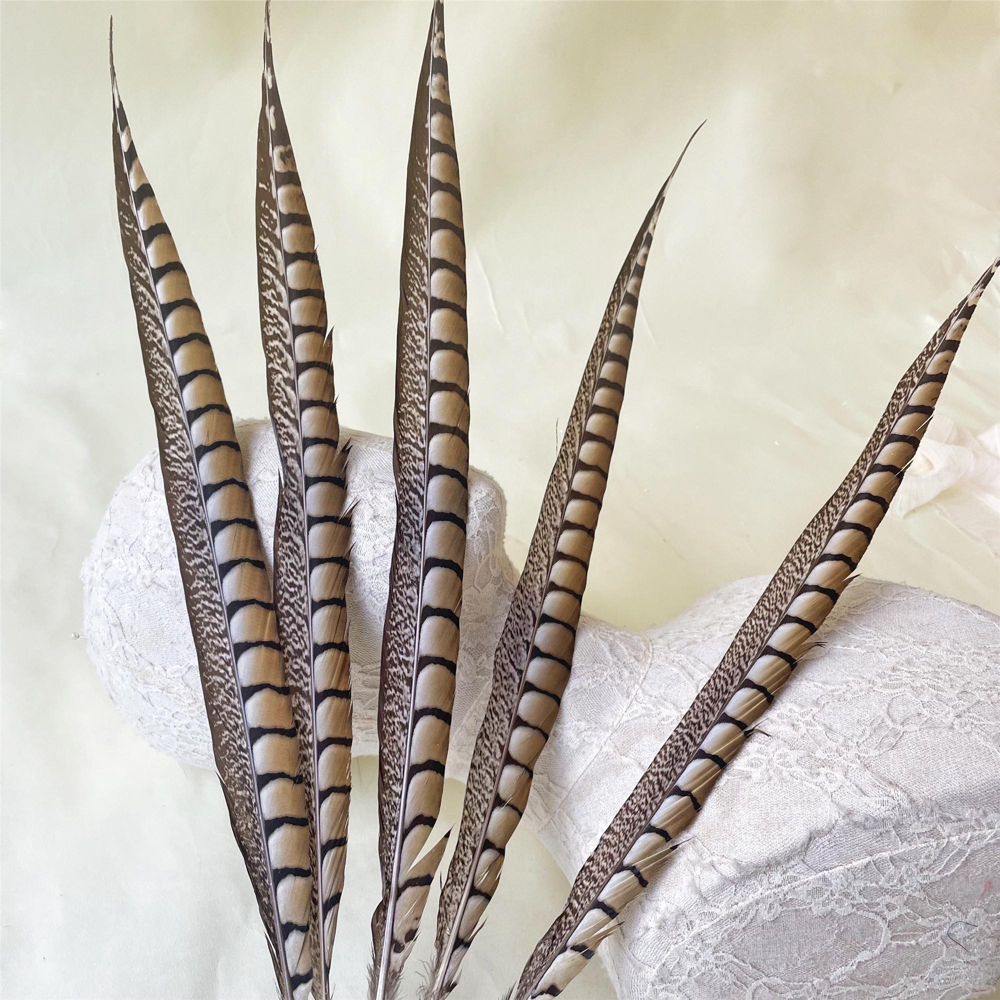 ZPDECOR Piume Di Fagiano Zebra Lady Amherst Tinte 80-90 Cm 32-36 - Foto 4